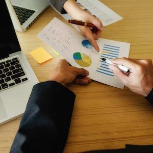 Vendor Verification & Risk Assessment Tool
